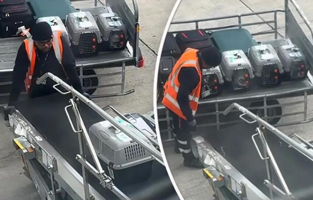 "Nadam se da će ova poruka stići do tebe..." Aleksandra snimila neverovatnu scenu na aerodromu, ovo topi srca!