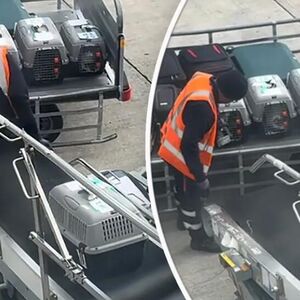 "Nadam se da će ova poruka stići do tebe..." Aleksandra snimila neverovatnu scenu na aerodromu, ovo topi srca!
