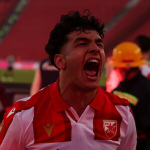 Stojadinović otkrio koliko Zvezda traži za Avdića: Ima nešto što nemaju ni Kostov, a ni Maksimović! (VIDEO)