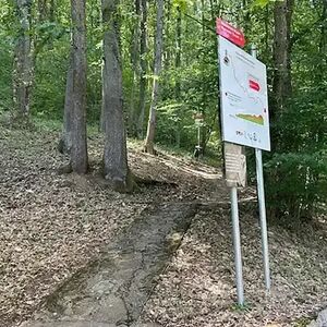 Staza patrijarha Pavla je dugačka šest i po kilometara: Jedna je od najlepših ruta u Srbiji - evo gde se nalazi