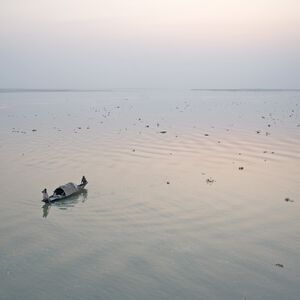 Kakvo je ovo čudo u Srbiji: Kad su ljudi videli šta je izronilo iz vode, nisu mogli da veruju svojim očima (FOTO)