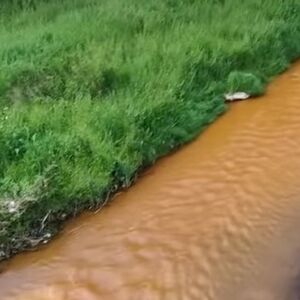 Nekada su se ljudi u njoj kupali, a sada da vas jeza uhvati: Lepenica u Kragujevcu promenila boju! (VIDEO)