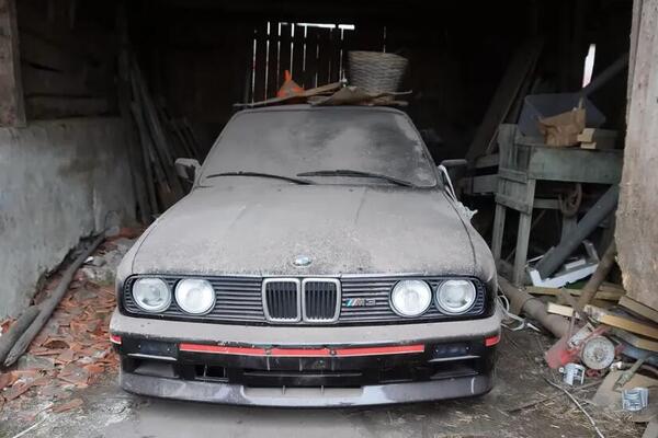 U ŠTALI PRONAŠLI PRAŠNJAVU ZVER KOJA VREDI STOTINE HILJADE EVRA: Kad su otvorili vrata ostali šokirani prizorom!