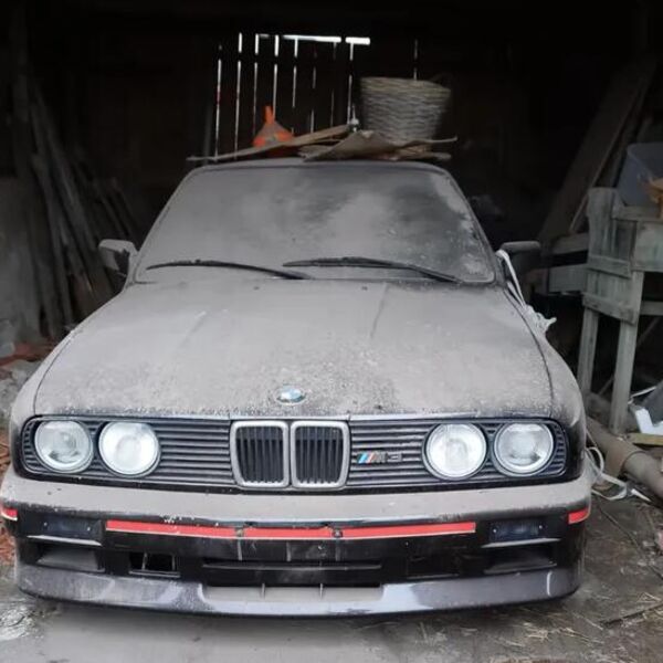 U ŠTALI PRONAŠLI PRAŠNJAVU ZVER KOJA VREDI STOTINE HILJADE EVRA: Kad su otvorili vrata ostali šokirani prizorom!