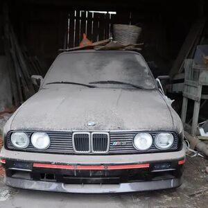 U ŠTALI PRONAŠLI PRAŠNJAVU ZVER KOJA VREDI STOTINE HILJADE EVRA: Kad su otvorili vrata ostali šokirani prizorom!