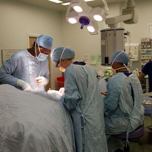 Mladi u Srbiji se masovno javljaju, mozak ne može da izdrži! Sve dolazi na naplatu, oglasio se lekar sa VMA