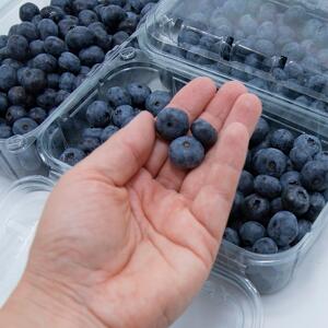 Nikada ne kupujte bobičasto voće ako vidite ovo na pakovanju: To je najveće upozorenje, smrt od otrova!