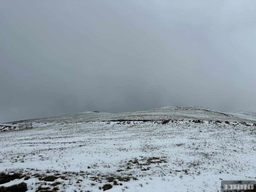 Sneg veje na Zlatiboru