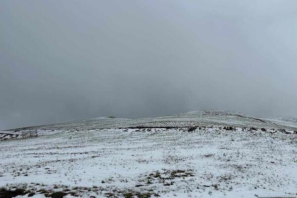 Sneg na ovoj srpskoj planini pada kao da je januar: Usred proleća sve se zabelelo, neverovatne slike (FOTO)