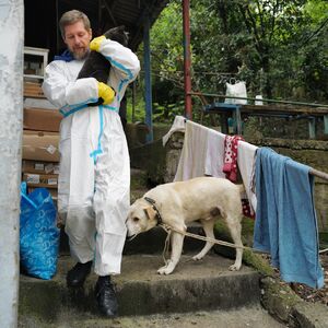 APOKALIPSA U "RUSKOJ HIROŠIMI" Crna kiša prekrila grad - životinje u smrtnoj opasnosti, kupali ih da prežive
