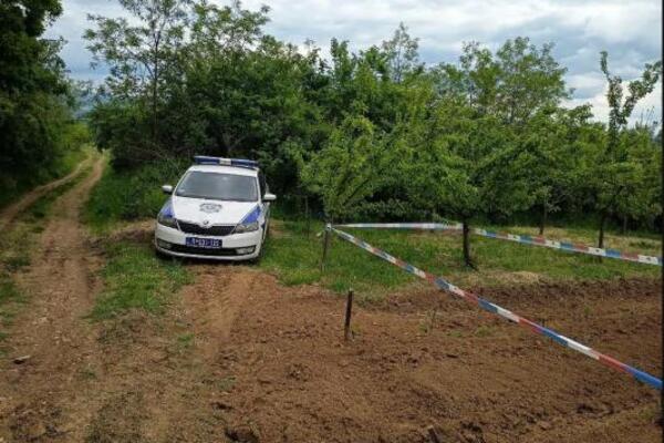 Pronađena bomba u vinogradu kod Jagodine! Policija ogradila njivu, čeka se kontradiverziona jedinica (FOTO)