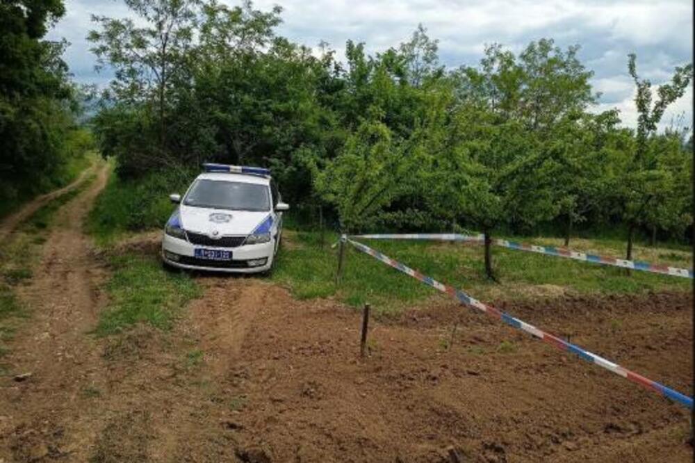 Pronađena bomba u vinogradu kod Jagodine! Policija ogradila njivu, čeka se kontradiverziona jedinica (FOTO)