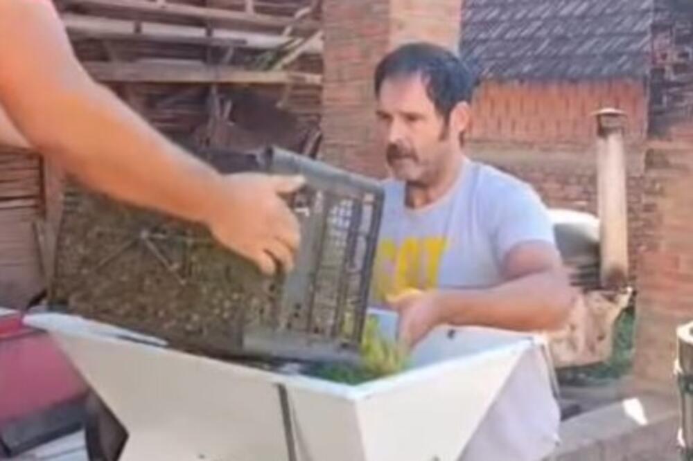 NEKAD NAJJAČI FRAJER BEOGRADA, A SAD PRAVI SELJAK! Glumac napustio grad i pokazao ŠTA SVE MOŽE, SVAKA ČAST MAJSTORE