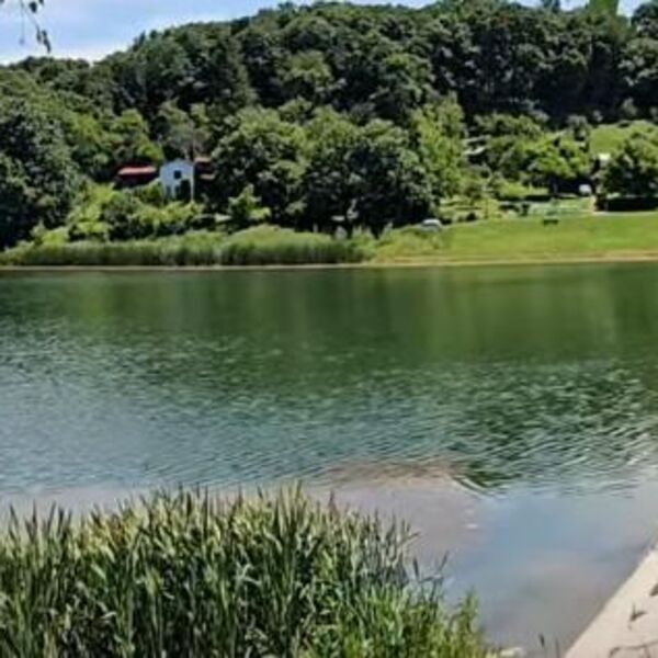 I u Srbiji imamo Maldive: Retko ko je čuo za ovu plažu, a izgleda kao sa razglednice (VIDEO)