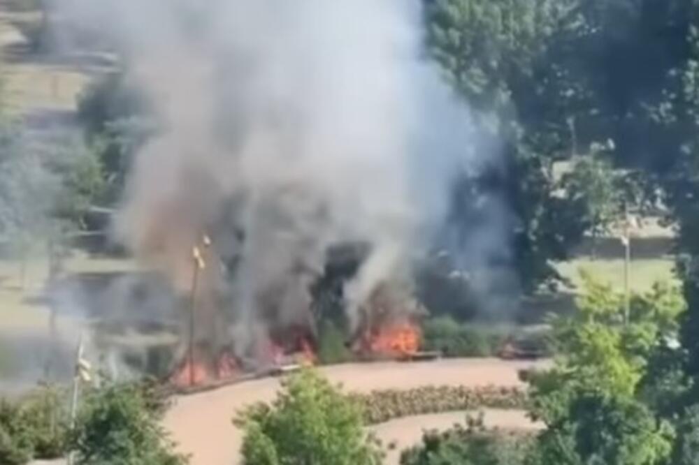 Požar u Novom Sadu: Vatra zahvatila rastinje u čuvenom parku! (VIDEO)
