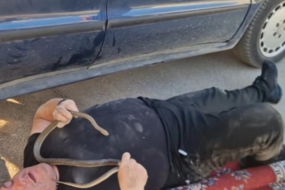 VLADICA IZVUKAO OGROMNU ZMIJU IZ MERCEDESA! Na Đurđevdan imao težak zadatak, POGLEDAJTE SAMO GDE SE SAKRILA (VIDEO)