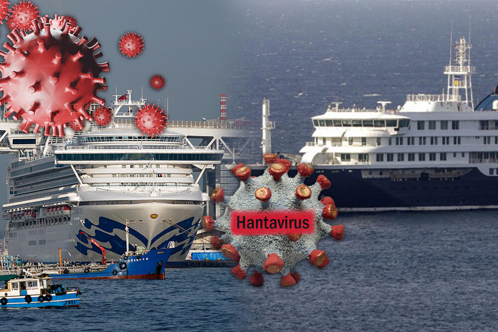 JEZIVA PODUDARNOST KORONA I HANTAVIRUSA Ovo su sličnosti i razlike: Odmah ćete se setiti kruzera "DIAMOND PRINCESS"