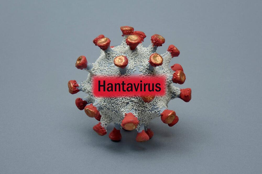 Ispovest Ivanjičanke koja je preživela opasni HANTAVIRUS: Imala sam mučninu i jake bolove, simptomi su...