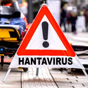 STJUARDESA TESTIRANA NA HANTAVIRUS: Bila u kontaktu sa zaraženom putnicom, stigli rezultati!