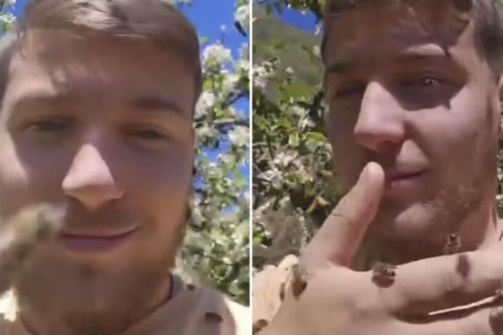 VASILIJE SE PREKRIO ROJEM PČELA, ONO ŠTO JE USLEDILO ĆE VAS OSTAVITI BEZ TEKSTA: Ljudi van sebe od prizora (VIDEO)