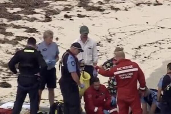 BELA AJKULA OD 5 METARA RASKOMADALA MUŠKARCA U PLIĆAKU: Turisti sve gledali, VRIŠTAO JE NA SAV GLAS (VIDEO)