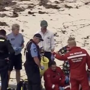 BELA AJKULA OD 5 METARA RASKOMADALA MUŠKARCA U PLIĆAKU: Turisti sve gledali, VRIŠTAO JE NA SAV GLAS (VIDEO)