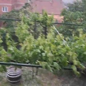 Oluja i kiša pogodili jug Srbije: Mnogi građani ostali bez interneta i kablovske televizije (VIDEO)