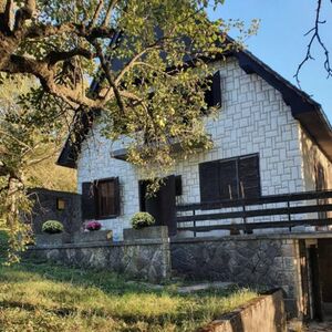 OGLAS ZA PRODAJU KUĆE ZAPALIO MREŽE U SRBIJI: Pogledajte šta čovek sve nudi, nalazi se tik uz turistički raj (FOTO)