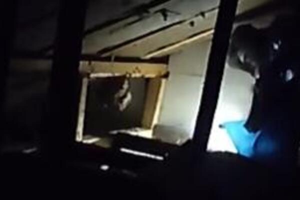 VLADICA MORAO DA OBUČE SPECIJALNO ODELO! Scena na tavanu KUĆE kao iz HOROR FILMA: Golim rukama nije mogao da...