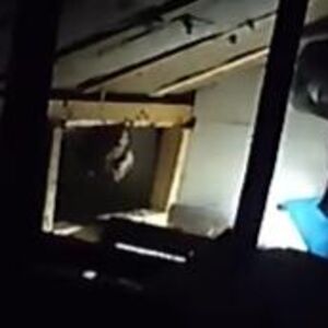 VLADICA MORAO DA OBUČE SPECIJALNO ODELO! Scena na tavanu KUĆE U SRBIJI kao iz HOROR FILMA: Pronađeno je...