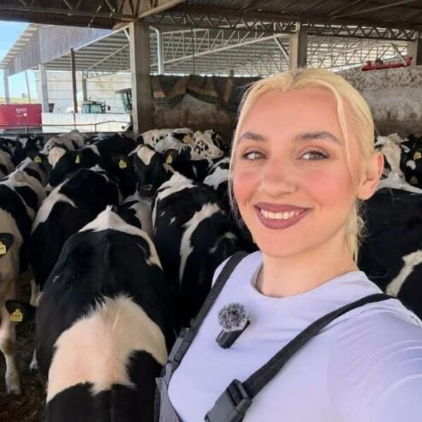 SOFIJA IZ BAČKE PALANKE SE RAZVELA ZBOG KRAVA: Najlepša srpska farmerka je u štali uvek TIP-TOP SREĐENA!