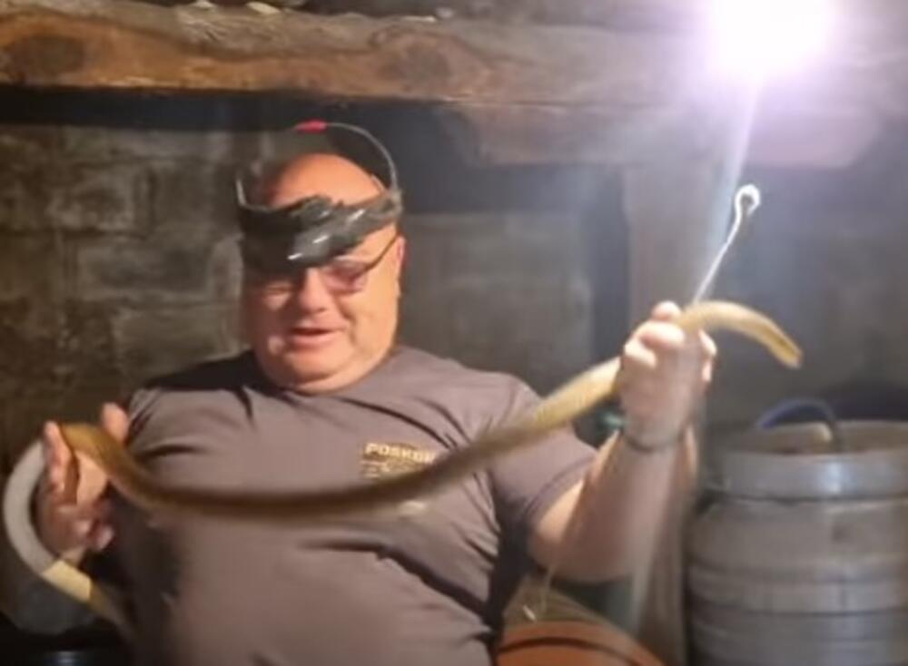 "HOĆE DA PIJE SA ČIKA SLOBODANA!" Pogledajte samo gde je zmijolovac Vladica našao zmiju, NEVEROVATNO! (VIDEO)