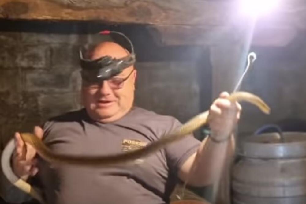 "HOĆE DA PIJE SA ČIKA SLOBODANA!" Pogledajte samo gde je zmijolovac Vladica našao zmiju, NEVEROVATNO! (VIDEO)