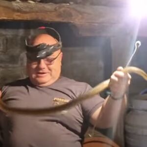 "HOĆE DA PIJE SA ČIKA SLOBODANA!" Pogledajte samo gde je zmijolovac Vladica našao zmiju, NEVEROVATNO! (VIDEO)