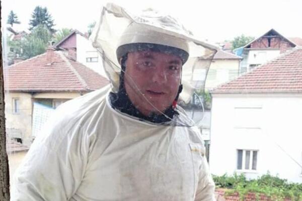 PANIKA U ZEMUNU ZBOG STRŠLJENA! Vladica Stanković se odmah oglasio, JEDAN UJED MOŽE BITI FATALAN, a sad ih ima!