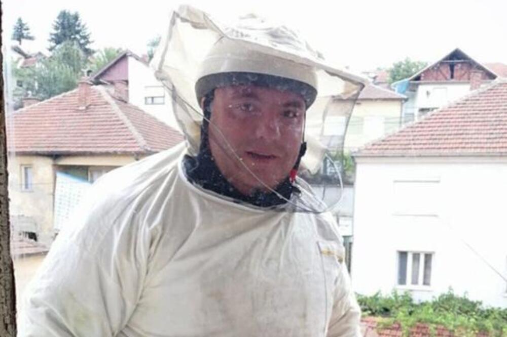 PANIKA U ZEMUNU ZBOG STRŠLJENA! Vladica Stanković se odmah oglasio, JEDAN UJED MOŽE BITI FATALAN, a sad ih ima!