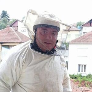 PANIKA U ZEMUNU ZBOG STRŠLJENA! Vladica Stanković se odmah oglasio, JEDAN UJED MOŽE BITI FATALAN, a sad ih ima!