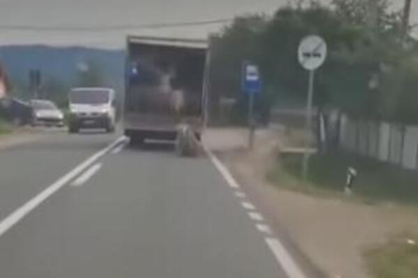 OVCE ISPADAJU IZ KAMIONA U POKRETU, LJUDI VAN SEBE OD PRIZORA: Uznemirujuća drama na putu kod Kruševca! (VIDEO)