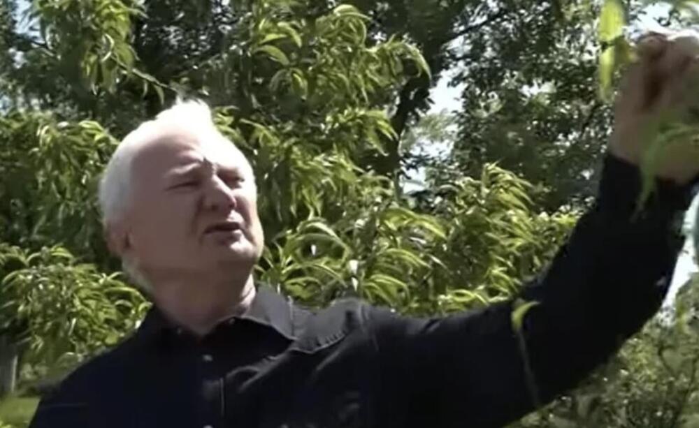 Zoran u svom dvorištu u Bariču ima nešto zlata vredno: Doneo mu drug iz Kanade, prava egzotika (VIDEO)