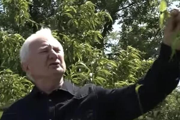 Zoran u svom dvorištu u Bariču ima nešto zlata vredno: Doneo mu drug iz Kanade, prava egzotika (VIDEO)
