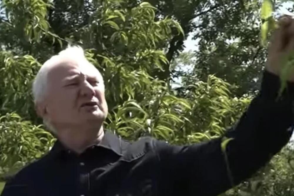 Zoran u svom dvorištu u Bariču ima nešto zlata vredno: Doneo mu drug iz Kanade, prava egzotika (VIDEO)