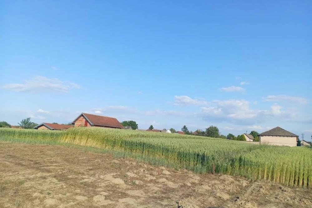 Placevi kod Beograda sada jeftiniji za 5.000 evra: Tanja daje za 20.000 evra građevinsko zemljište, sve je upisano!