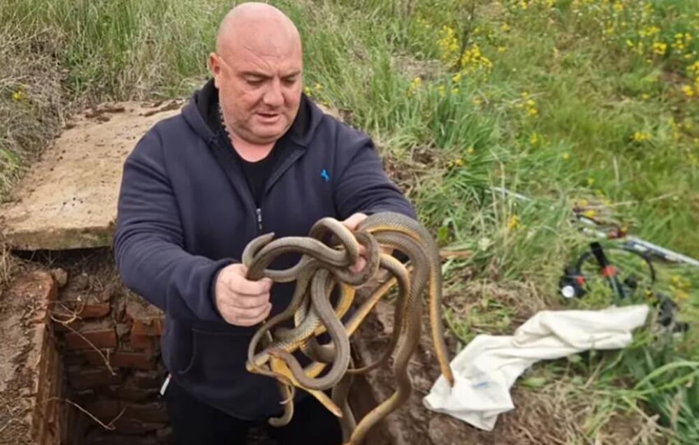 Vladica Stanković se popeo na krov, od prizora i njemu pripala muka: Ovo još nije viđeno, au (VIDEO)