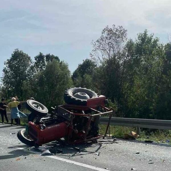 Traktor sleteo s puta i zakucao se direktno u drvo: Vozač poginuo na licu mesta, velika tragedija kod Mladenovca