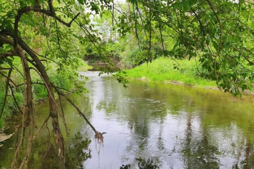 Prodaje se plac pored reke za manje od 10.000 evra: Na sat vremena od Beograda, pravi raj na zemlji