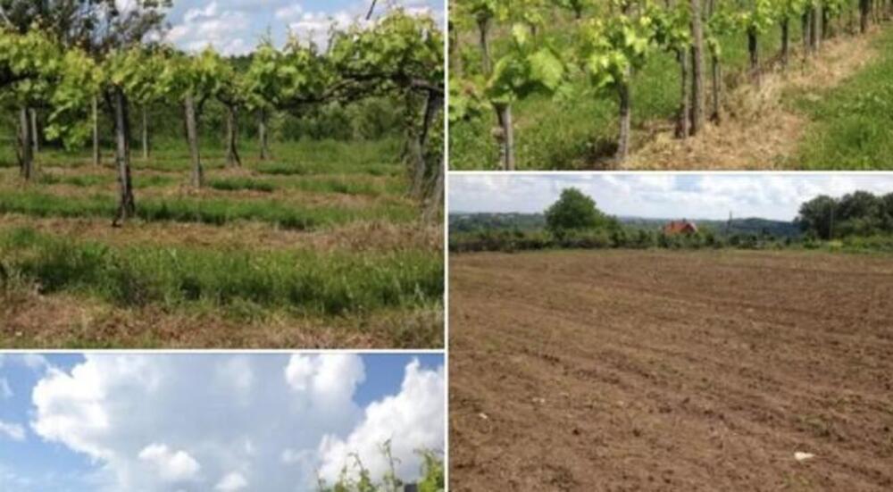 Plac na odličnoj lokaciji se prodaje za samo 24.000 evra: Ima više od 40 ari i asfalt do parcele (FOTO)