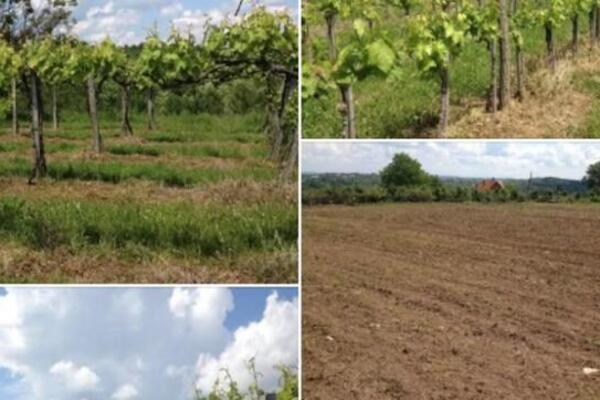 Plac na odličnoj lokaciji se prodaje za samo 24.000 evra: Ima više od 40 ari i asfalt do parcele (FOTO)