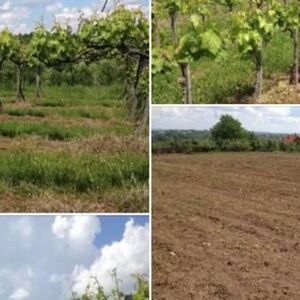 Plac na odličnoj lokaciji se prodaje za samo 24.000 evra: Ima više od 40 ari i asfalt do parcele (FOTO)