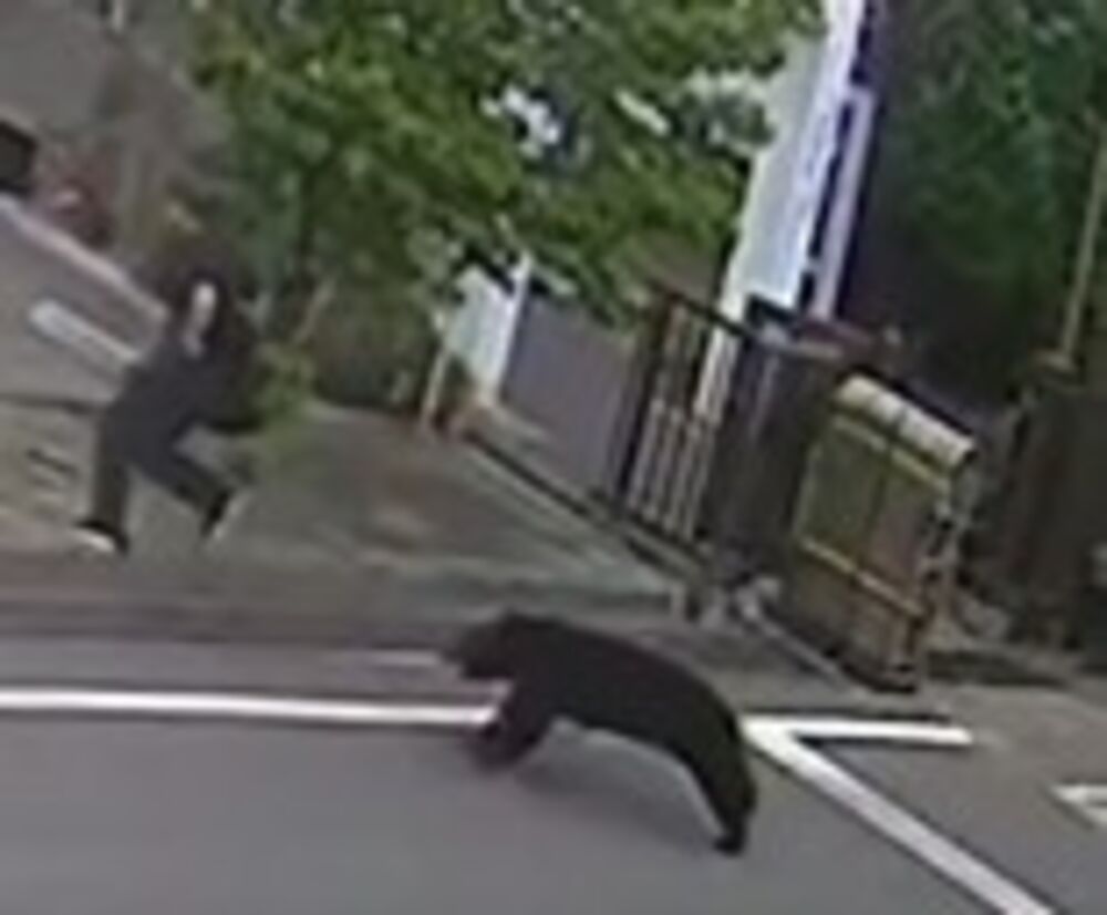 DA SE NAJEŽIŠ: Zver jurila ljude nasred ulice, ima POVREĐENIH, pogledajte SNIMAK, ovo nije normalno! (VIDEO)
