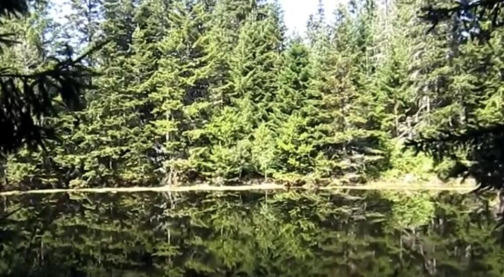 Mnogi ni ne znaju da u Srbiji postoji ovaj skriveni dragulj: Veruje se da su baš ovde živele vile (FOTO)